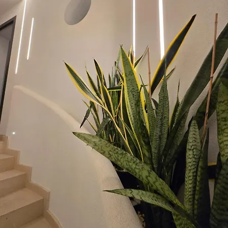 فندق مبيت وإفطار Ma Gra Vi 4*